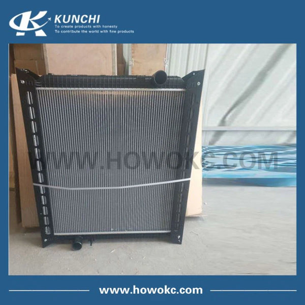 Howo 2020 Radiator WG9918530001/2